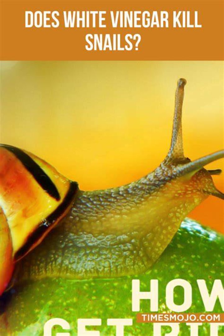 Does iron kill snails