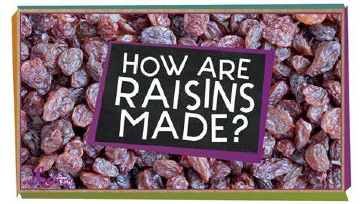 Does Raisin cause gas