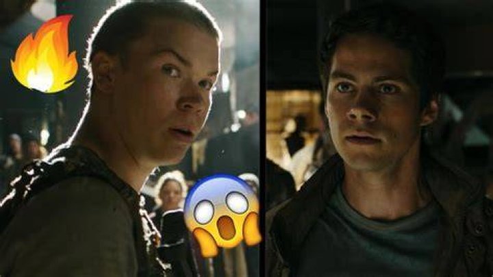 How did Gally survive