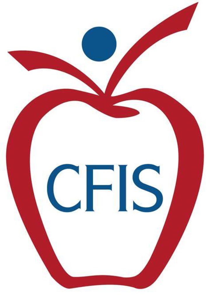 How Mich do CFIs make