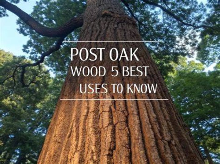 Is post oak good wood
