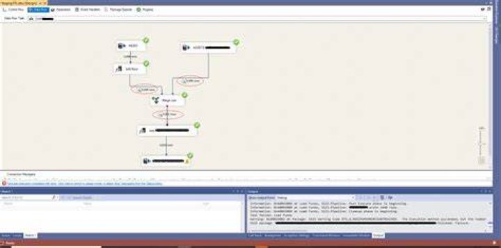 What is DT i4 in SSIS
