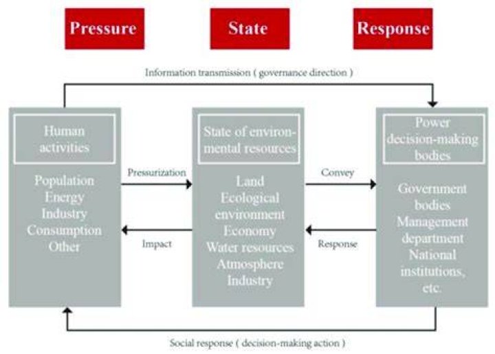 What is the PSR model