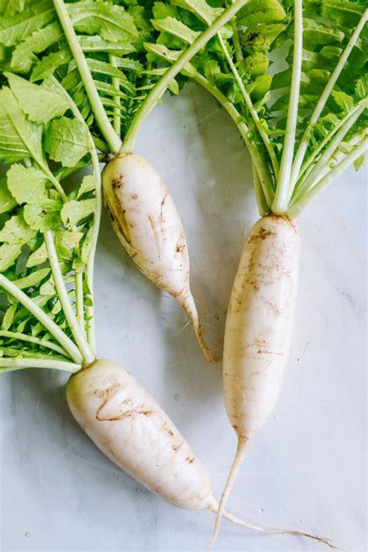 Where is radish found